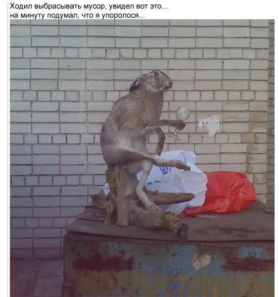 ��������� ���� - 15 ������ 2016 � 21:00