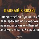 ���� ����, ������� - ��������� 4 ������� 2015 � ������ ������ ��������