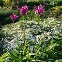 ���� �����, ������ - ��������� 17 ������� 2015 � ������ ���� ����������