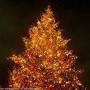 ���� �������, ��������� ������, 55 ��� - ��������� 30 ������� 2015 � ������ ���� ����������