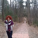 ���� �����, ������������ - ��������� 7 ������� 2016 � ������ ������������. �����-������� ���������.�