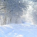 ���� ������, �������, 53 ���� - ��������� 8 ����� 2016 � ������ ������ ��������