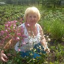 ���� ������, ��������, 68 ��� - ��������� 5 ������ 2016