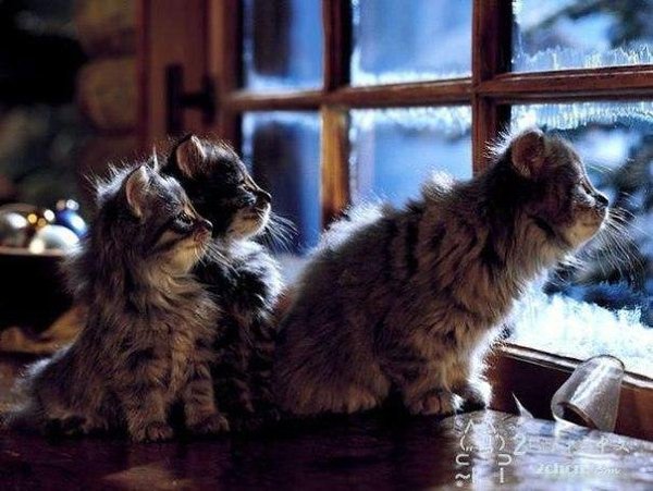 ��, �� ��� �� ������ � ���� �������� ���� ����� � ���� �������, ����������� ����������.