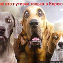 ���� �������, ��������, 38 ��� - ��������� 5 ������� 2015 � ������ ������ ��������