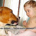 ���� ��������, ������ - ��������� 27 ������ 2016 � ������ ������ ��������