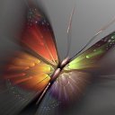  ,  -  18  2016     Ȼ