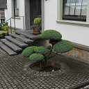 ���� �������, �����-��������� - ��������� 12 ������� 2016 � ������ ���� ����������