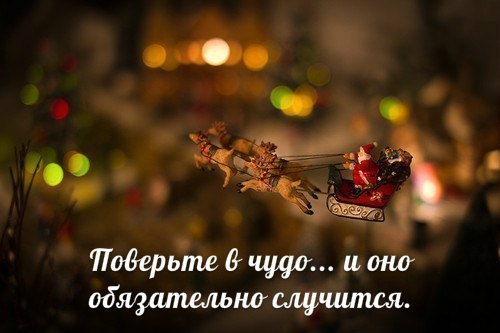       .   -   .        ...