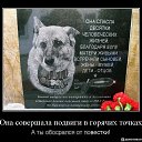 ���� ������, �����-���������, 67 ��� - ��������� 24 ������� 2015 � ������ ������ ��������