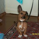 ���� ������, ���������, 64 ���� - ��������� 10 ������ 2016 � ������ ���� ����������