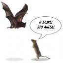 ���� Miracle, ������, 43 ���� - ��������� 13 ������� 2016 � ������ ������ ��������