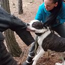 ���� ������, ���� - ��������� 7 ������� 2015 � ������ ���� ����������