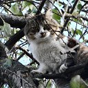 ���� ����, ����, 52 ���� - ��������� 25 ������ 2016 � ������ ���� ����������