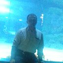 ���� �������, ������, 51 ��� - ��������� 20 ������ 2015 � ������ ����������� 11.11.15�