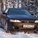 ���� ����, ������������, 40 ��� - ��������� 2 ������� 2016 � ������ �������