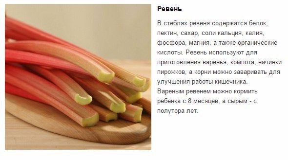 Курам можно давать ревень. Курам можно давать ревень