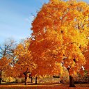 �������� �� ������� ���� ����������