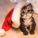 ���� Kolya, ����, 52 ���� - ��������� 2 ������� 2015 � ������ ������ ��������