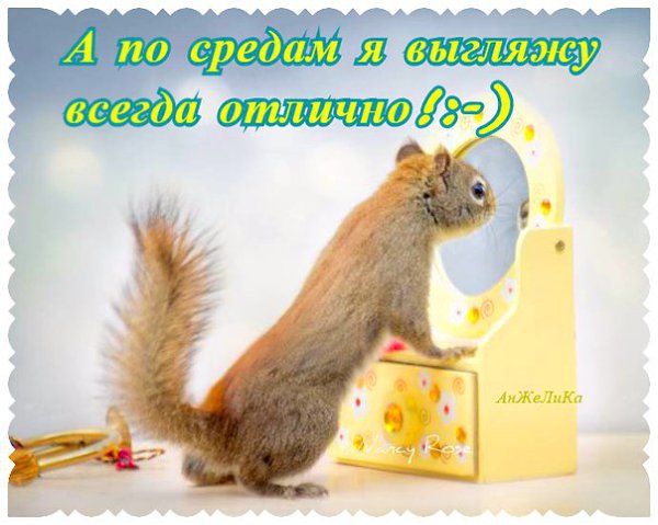  - 9  2015  06:43