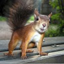 ���� �������, ����� - ��������� 12 ������ 2015 � ������ ���� ����������