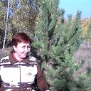 ���� Sergey, ������������ - ��������� 14 ������ 2015 � ������ ���� ����������