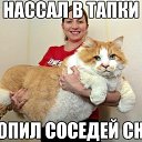 ���� �������, ���������, 45 ��� - ��������� 25 ������� 2016 � ������ ������ ��������