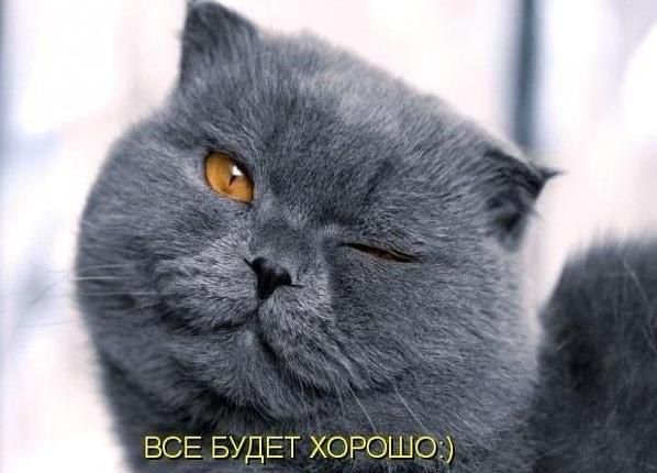    - 5  2015  17:11