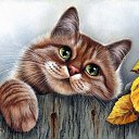 ���� ����, ����� - ��������� 6 ������ 2016 � ������ ���� ����������