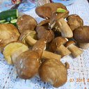 ���� �����, �������, 55 ��� - ��������� 5 ������ 2015 � ������ ���� ����������