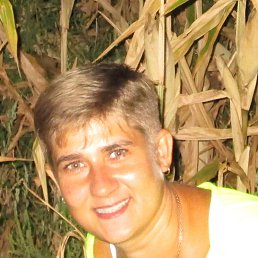 ���� �����, ������, 41 ��� - ��������� 31 ������ 2016