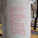 ���� ��������, ������ - ��������� 5 ������� 2015 � ������ �������� ������� ���ۻ