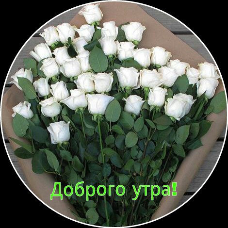 ��� ���� - 12 ������ 2016 � 08:48