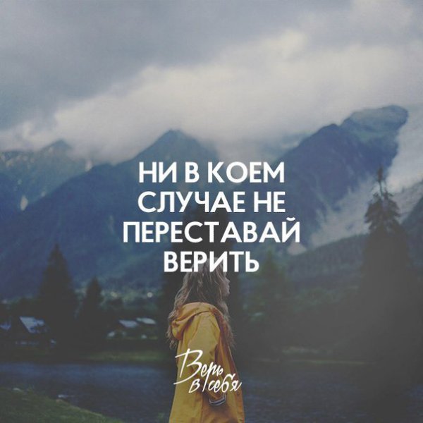  -   - 8  2016  10:31