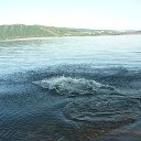 ���� �����, �����-���������, 51 ��� - ��������� 20 ������� 2016 � ������ ��� �������