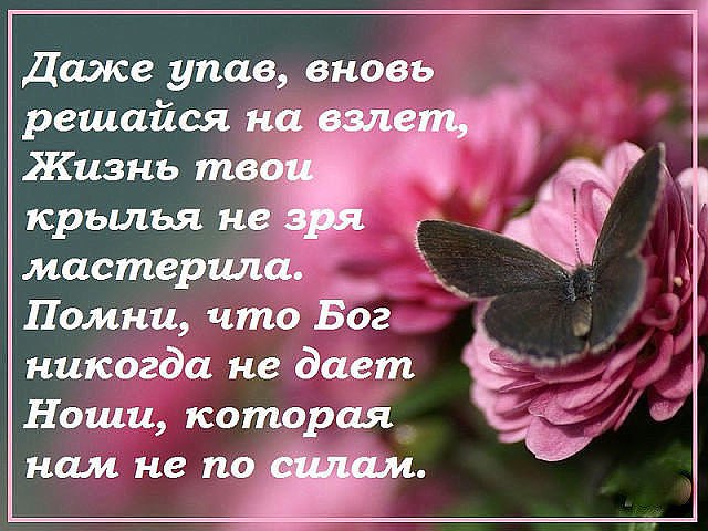        ,      - <a href=