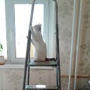 ��� �� �� ������� ���������... �� ������� ������ ��������