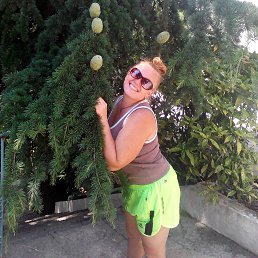 �����, ��������, 41 ���