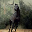 ���� ����������, ������� ���� - ��������� 2 ������ 2016 � ������ ������Ż