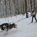 ���� �������, �����, 76 ��� - ��������� 10 ������� 2016 � ������ ������ ��������