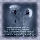 ���� Zina, ���������, 37 ��� - ��������� 21 ������� 2015 � ������ ������ ��������