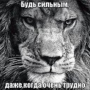 ���� ����, ������, 59 ��� - ��������� 9 ������� 2015 � ������ ���� ����������