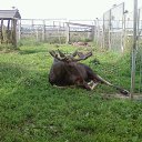 ���� ������, ����� - ��������� 9 ������� 2015 � ������ ���� ����������