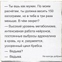 ���� ������, ������, 66 ��� - ��������� 26 ������� 2016 � ������ ������ ��������