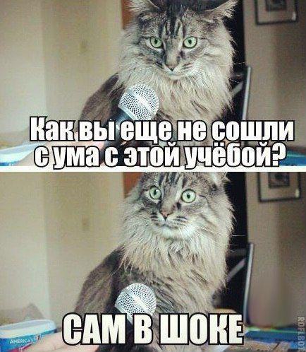    :D - 19  2016  15:33