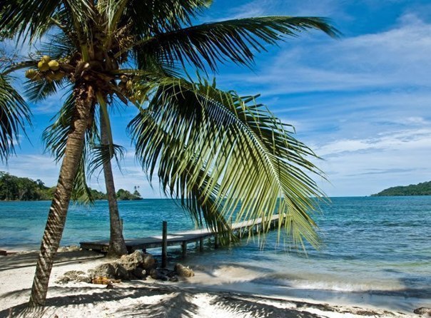 ��������� �����-����-����, ������ - 2