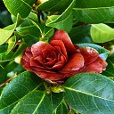 ���� Jana, ������, 68 ��� - ��������� 24 ������ 2016 � ������ ������ ��������