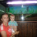 ���� ��������, ������ ��� - ��������� 25 �������� 2015 � ������ ���� ����������