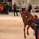 ���� ������, �����-���������, 70 ��� - ��������� 4 ������� 2015 � ������ ��� ������ �������� � �����-����������