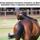 ���� ��������, ������, 53 ���� - ��������� 6 ������ 2016 � ������ ������ ��������